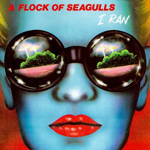 A Flock of Seagulls